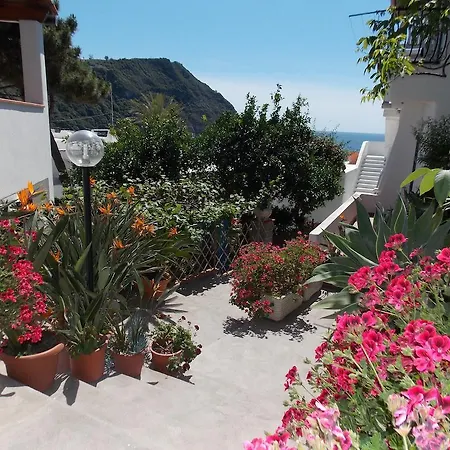 Konukevi Loreta Forio di Ischia