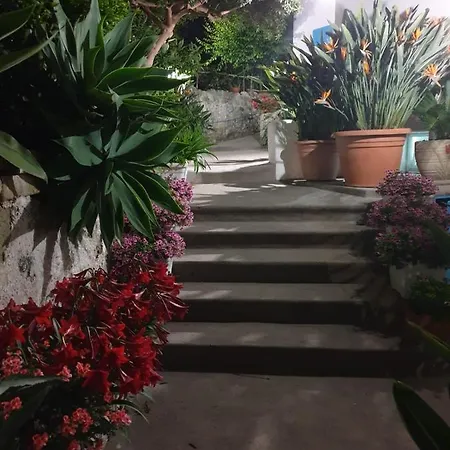 Loreta Konukevi Forio di Ischia